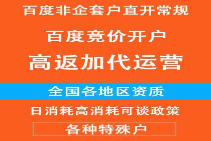 竞价广告端口开户的典型案例剖析
